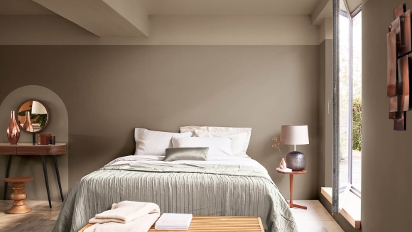 Dulux тон Brave ground