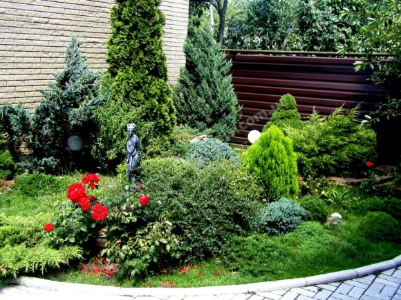Клумба хвойники туя можжевельник