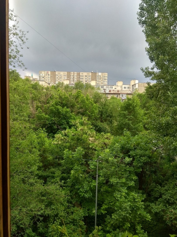 Вид из окна на парк
