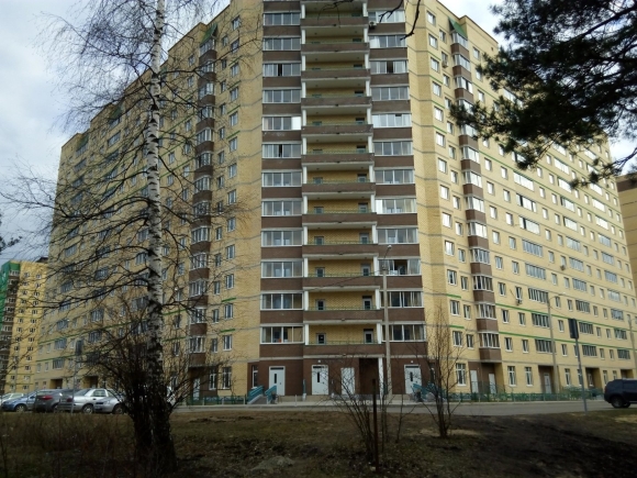 Посёлок Зеленоградский Пушкинский