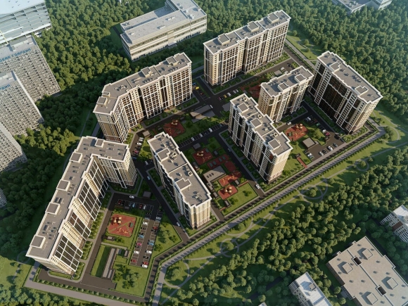 Звезды столиц СПБ