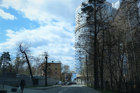 Сосновая аллея Москва