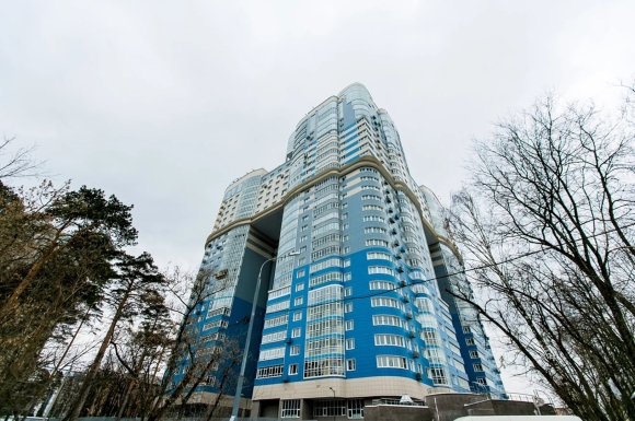 Сосновая аллея Москва