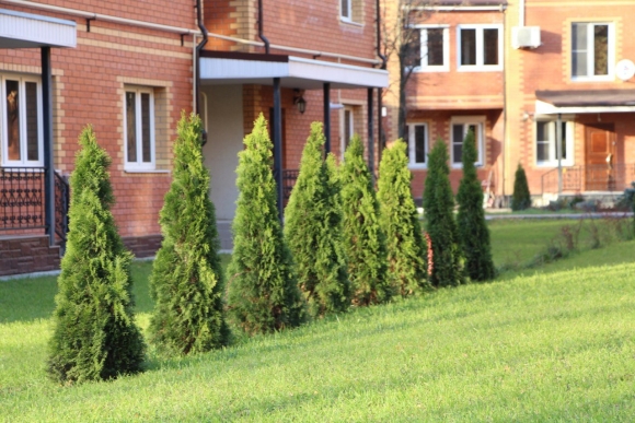 ЖК Жемчужина Коренево