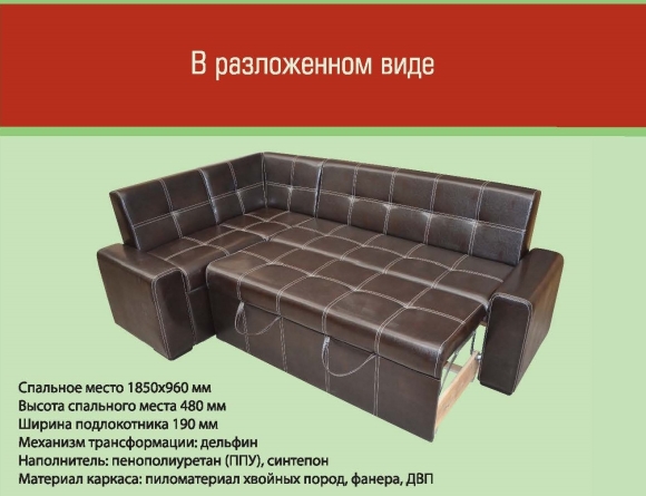 Кухонный уголок со спальным местом