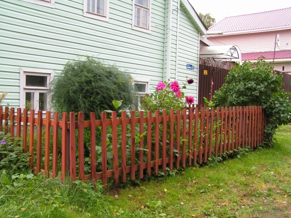 Красивый палисадник