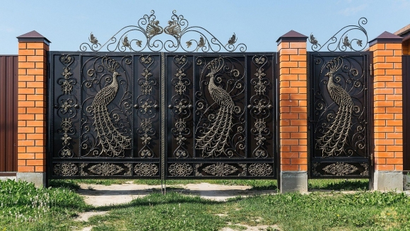 Иранская ковка ворота Жар птица