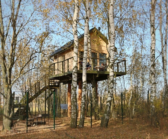 Ласточкино гнездо Тула дом на дереве