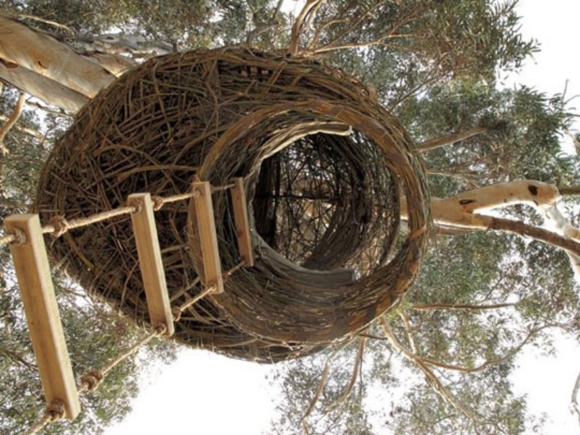 Tree Hotel Швеция Птичье гнездо