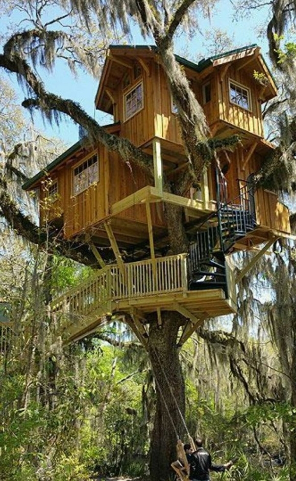 Tree House Кишинев