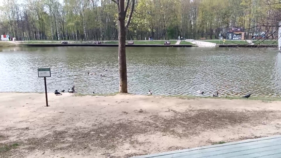 Ивановские пруды Красногорск