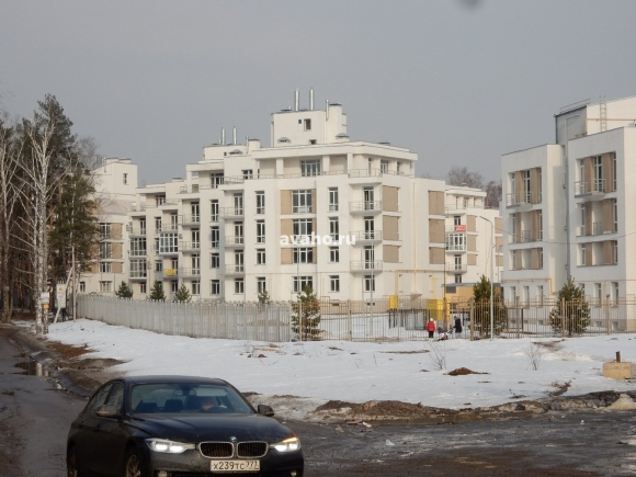 Поселок Аристово Митино