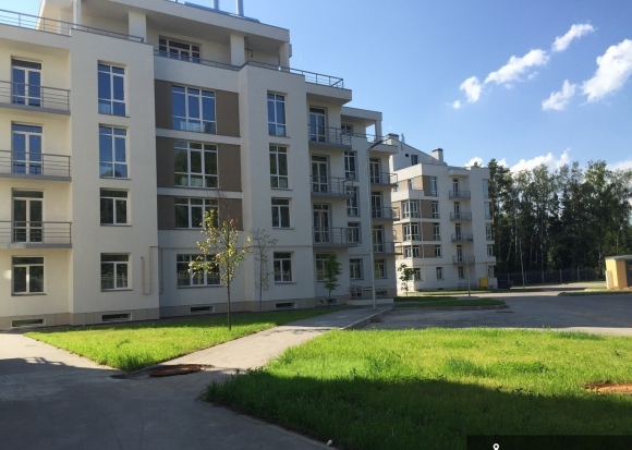 Деревня Аристово Московской области
