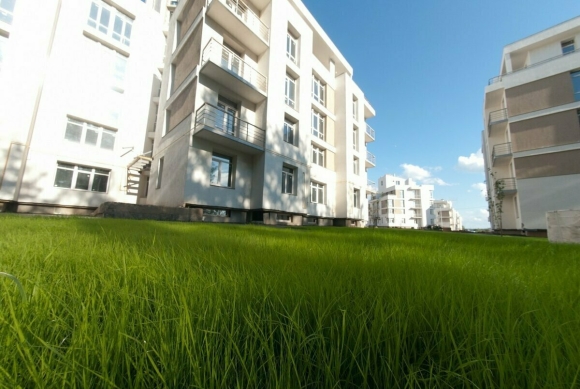 Аристово Красногорский район