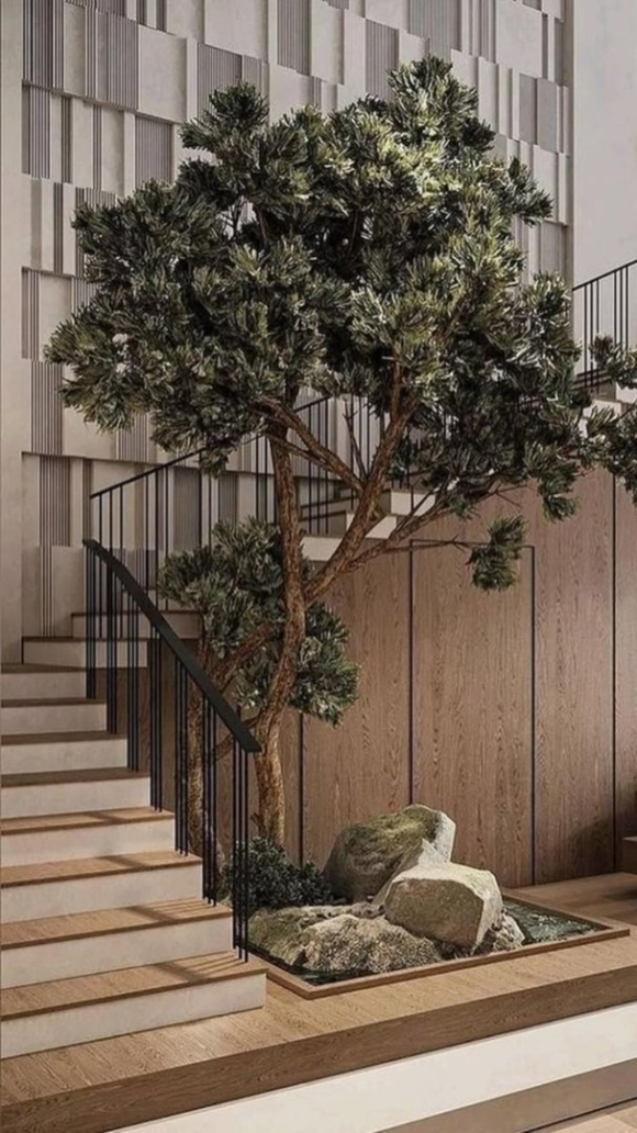 Aesthetic Interior