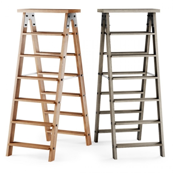 Scaling Ladder
