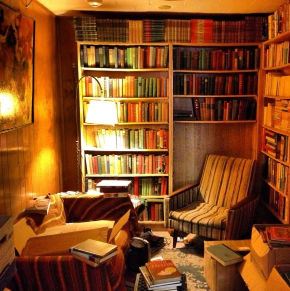 Уютная комната с книжными полками