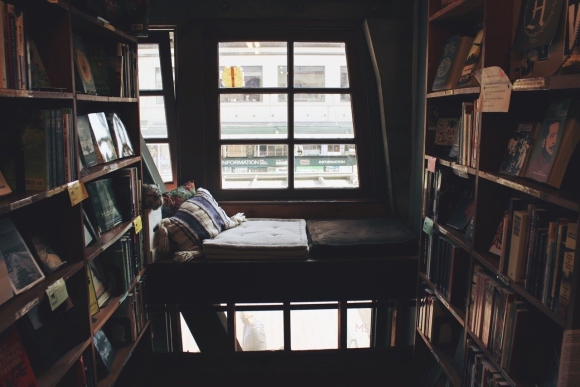 Уютная комната с книжными полками