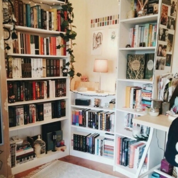 Комната с книжными полками