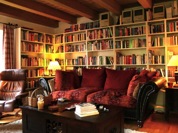 Комната с книжными полками