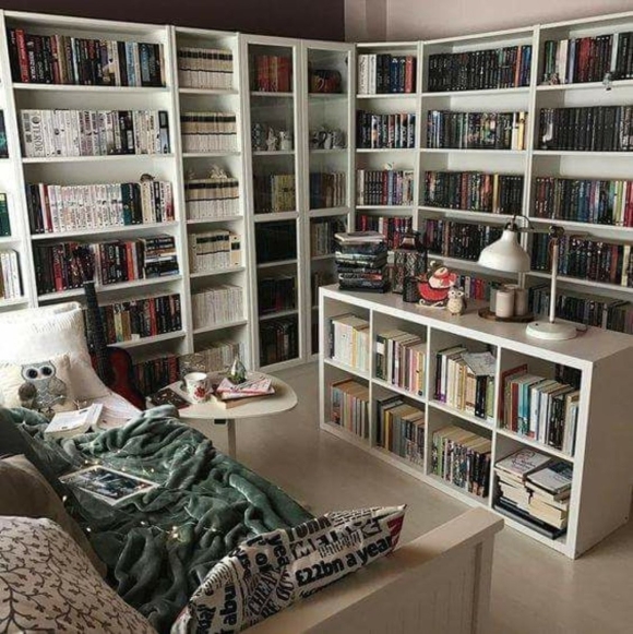 Комната с книжными стеллажами