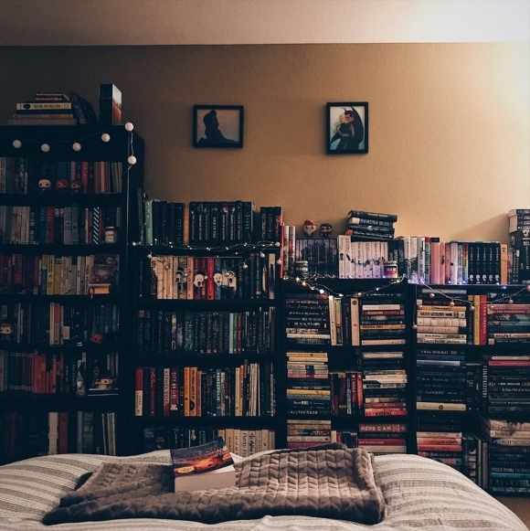Книжный стеллаж Эстетика