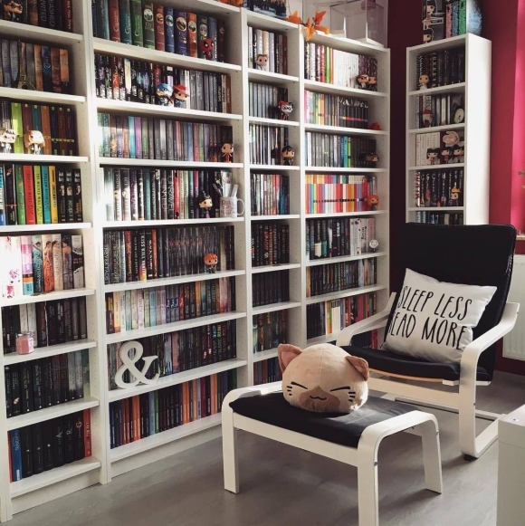 Книжный стеллаж Эстетика