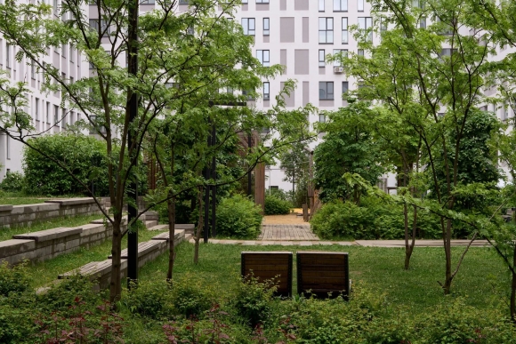 Видное Московская брусника