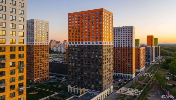 Мещерский лес Москва