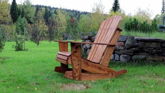 Яблоня Adirondack