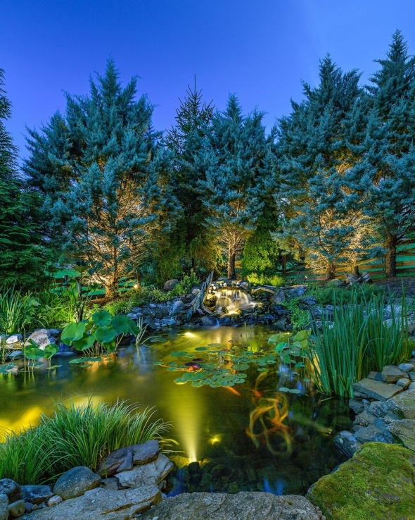 Garden landscape