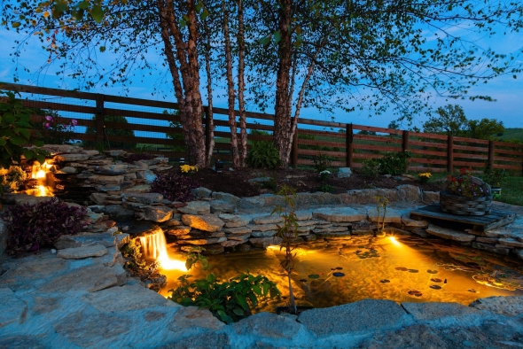 Backyard pond