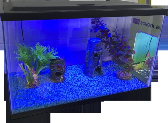 Аквариум (fish tank)