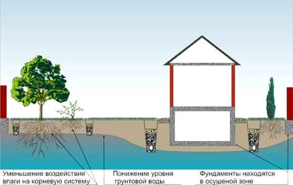 Дренаж участка с высоким уровнем грунтовых вод схема