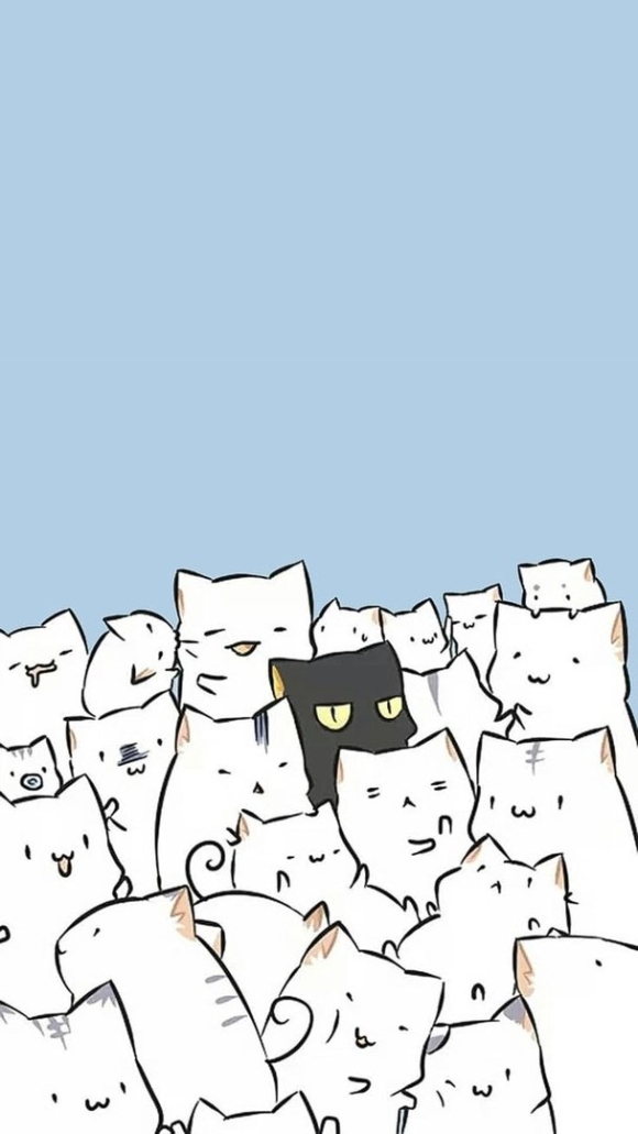 Котики много черно белые