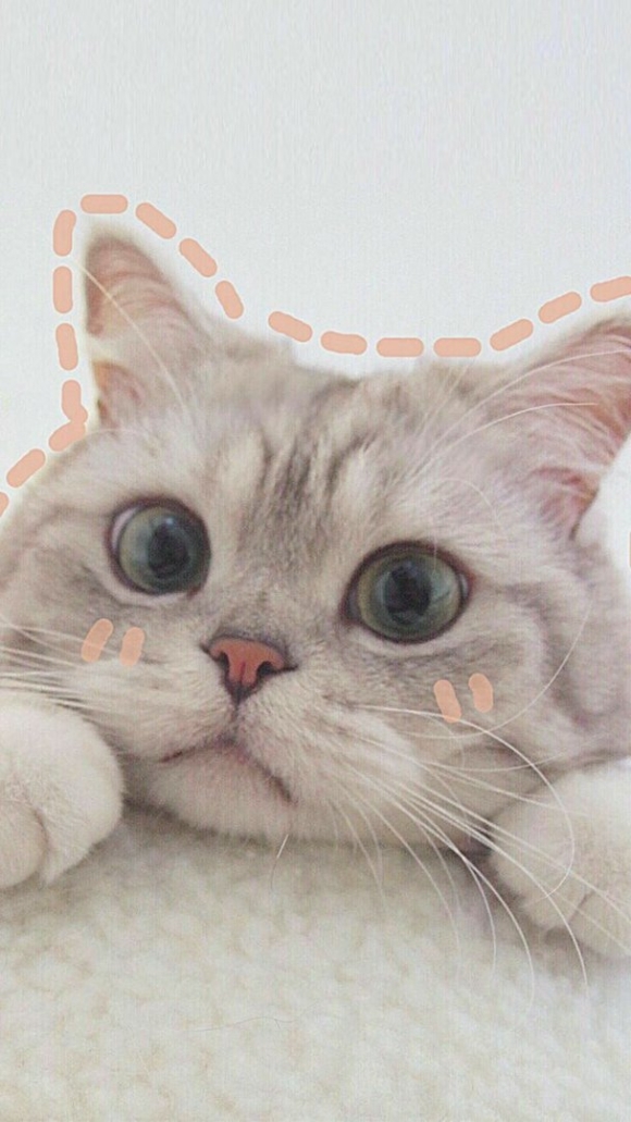 Милые котики Эстетика