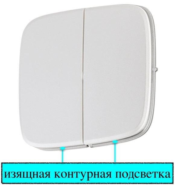 Выключатель двухклавишный Legrand Valena Allure