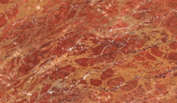 Breccia Pernice мрамор