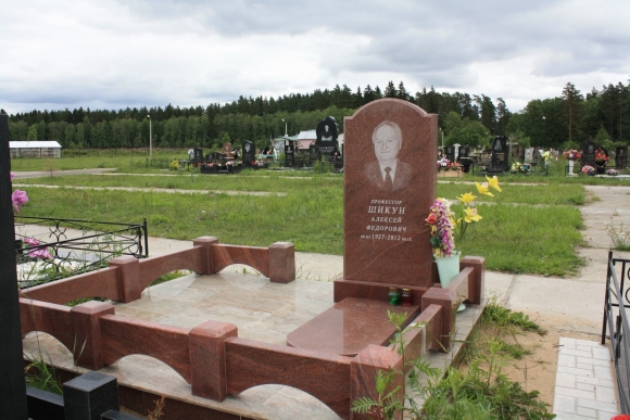 Памятник из гранита Винга
