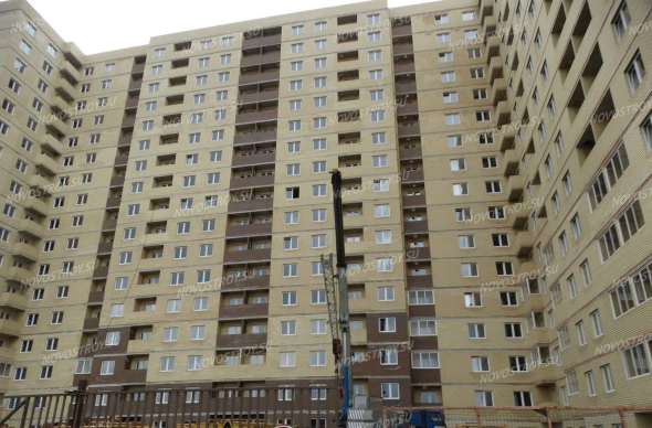 Старая купавна трудовая а