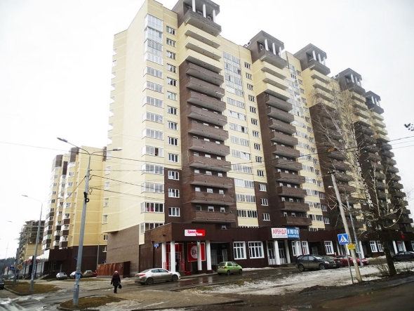 Ногинск улица дмитрия михайлова