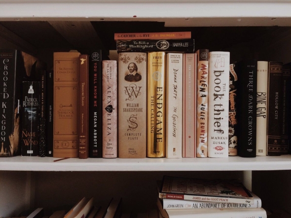 Книга на полке