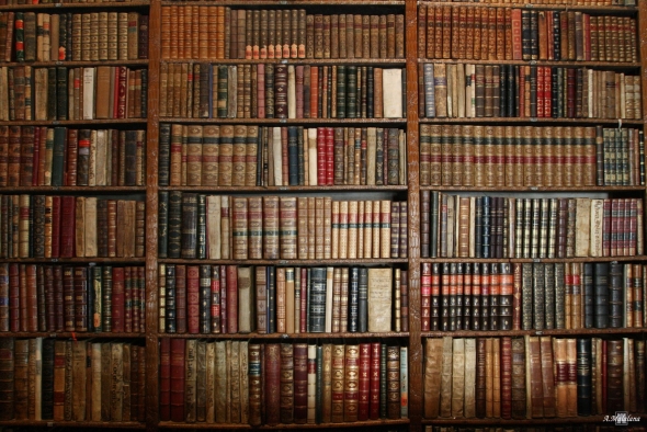 Полки для книг