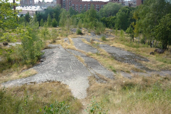 Центральный парк культуры и отдыха имени м калинина
