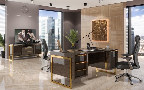 Кабинет директора в современном стиле