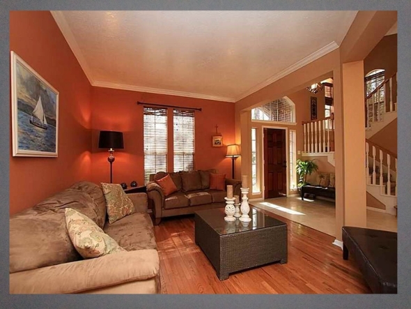 Терракотовый цвет в интерьере гостиной