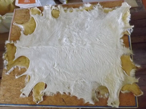 Выделка шкур