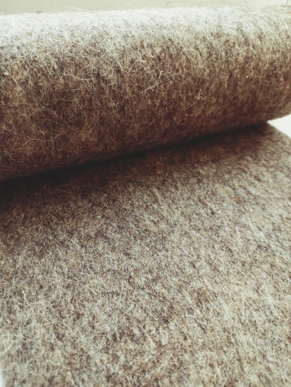 Шерстипон верблюжья