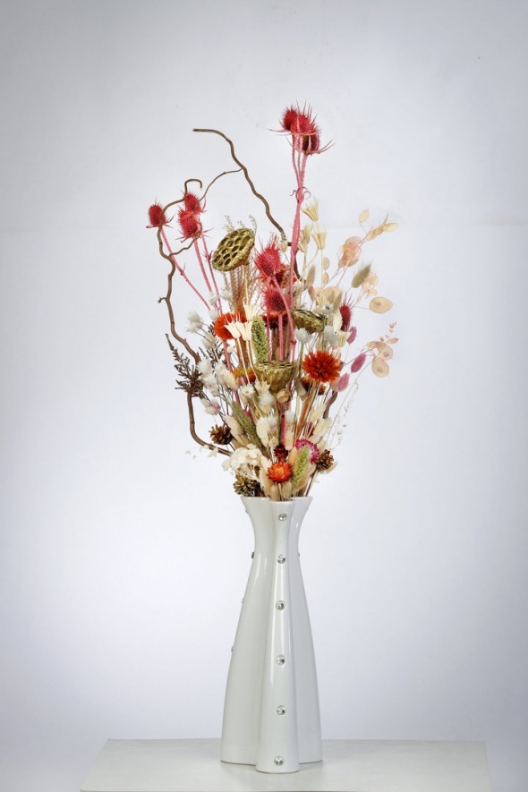 Корилус сухоцвет