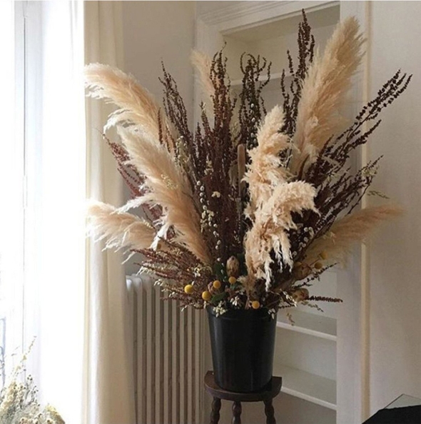 Сухоцветы пампасная трава